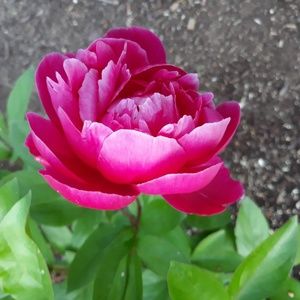 Meet your Posher, Marta